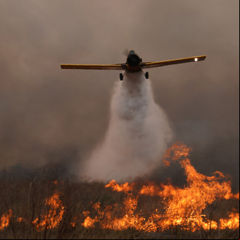 Incendios en Corrientes: el gobernador Gustavo Valdés pidió ayuda de Estados Unidos para combatir el fuego