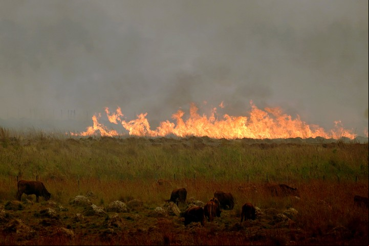 Las imágenes en Corrientes son dramáticas: el fuego avanza de forma imparable. Foto Juano Tesone / Enviado especial de Clarín