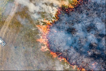 Incendios en Corrientes: se quemó más del 15% de los Esteros del Iberá