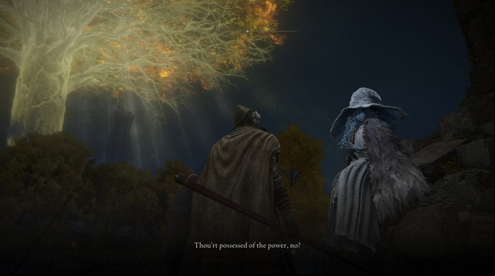 Elden Ring. Foto: Captura en PC (Nvidia RTX 3060)