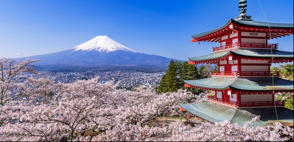 Japón ofrece becas de $12 millones para argentinos que quieran estudiar en el país asiático: cómo anotarse
