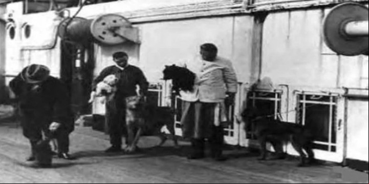 En el Titanic estaban preparando para el 15 de abril una especie de pequeña exposición canina para distracción del pasaje. Nunca se realizó. El barco se hundió antes.