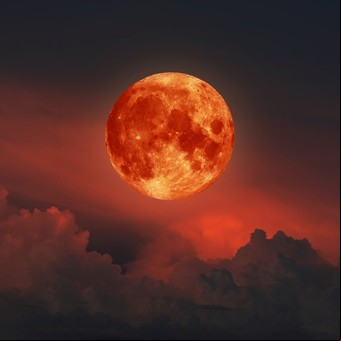 Eclipse lunar total de marzo 2025: a qué hora se verá en cada país la "Luna de Sangre"