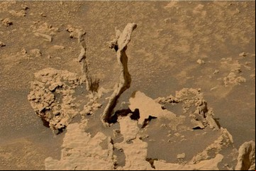 El Curiosity encontró estructuras parecidas a árboles en Marte