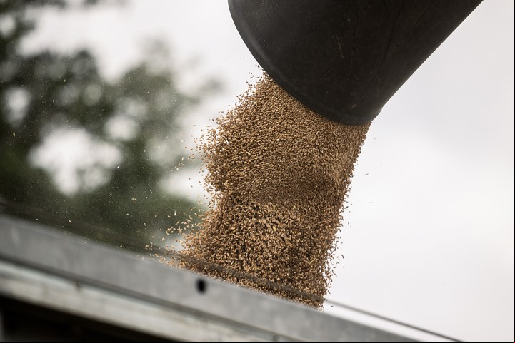 La guerra en Ucrania ya está contribuyendo a una crisis alimentaria global. Foto: Bloomberg