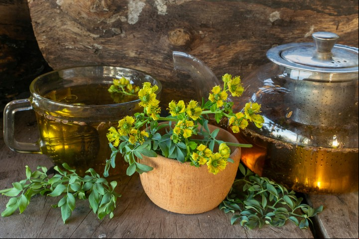 Desde la más remota antiguedad, la ruda se emplea con fines terapéuticos y espirituales. Foto: Shutterstock