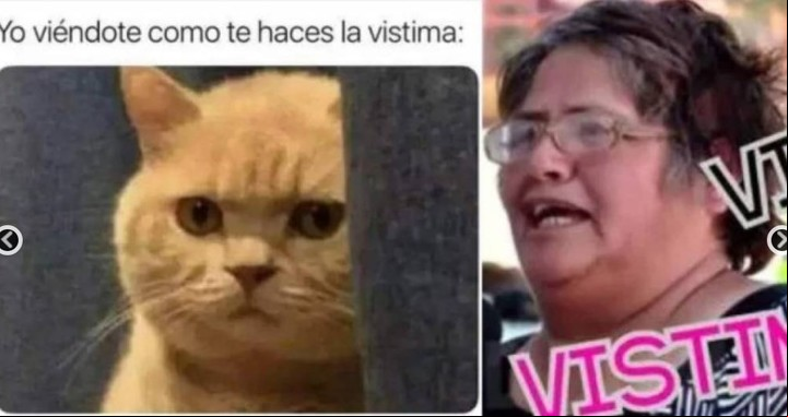 La chilena Elizabeth Ogaz se volvió viral en 2019 y su vida se transformó en meme.