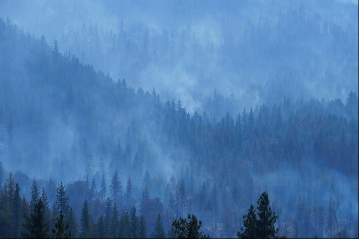 Los incendios arrasan bosques en todo el mundo, como en California. Foto Bloomberg