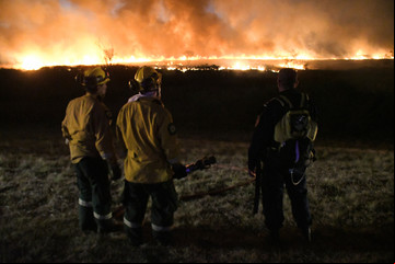 Incendios en el Delta del Paraná: liberan a tres de los detenidos por prender fuego en la zona afectada