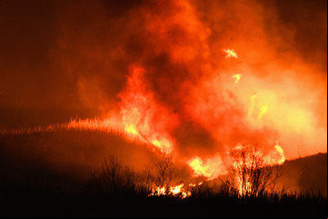 Incendios en el Delta: por primera vez llegan a juicio dos causas por quemas intencionales y hay seis acusados