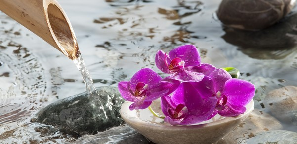 Feng Shui de primavera: limpieza energética del hogar para vitalizar proyectos y emociones