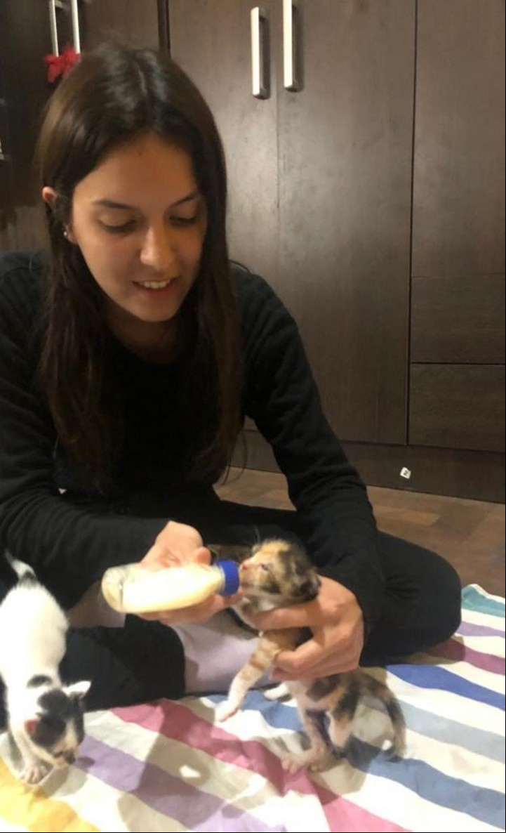 Sol Berardo coordina junto a su madre Gatitos en Adopción, una comunidad que rescata animales en La Matanza. (Gentileza: Sol Berardo)