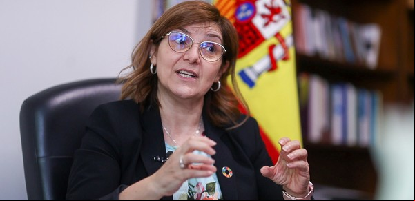 Ley de Nietos: una funcionaria española explica por qué necesitan argentinos