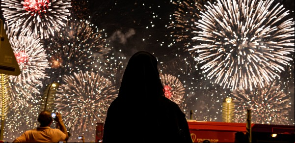 Científicos piden prohibir los fuegos artificiales por un grave motivo