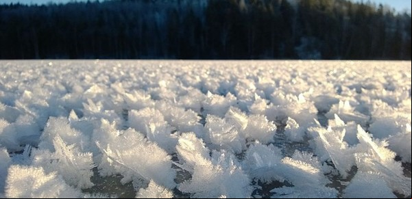 Únicas en el mundo: aparecieron flores de hielo en Italia