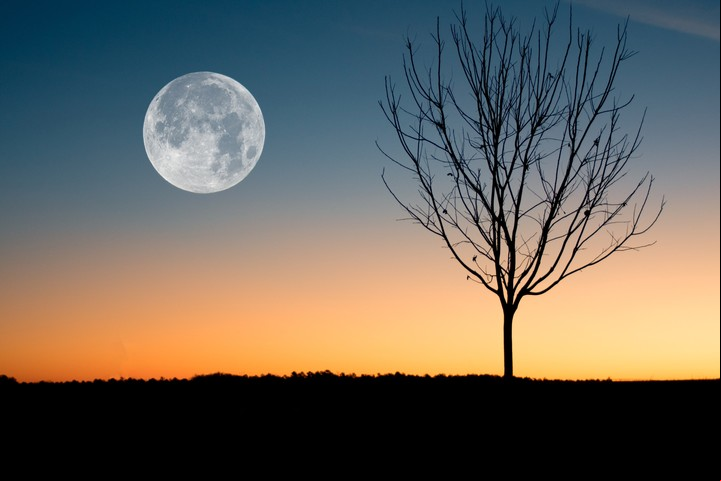 "Esta luna llena estará opuesta a Júpiter, lo que, en algún punto, hará que se juegue la regla de la guerra y de la paz”, afirma la astróloga Jimena La Torre. Foto: Pexels.