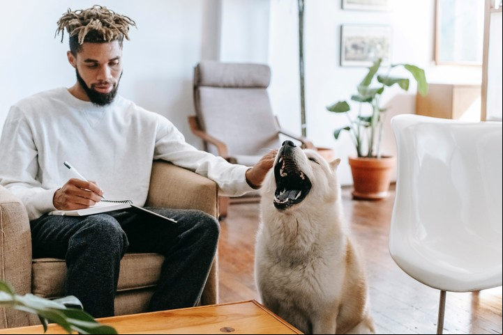El antropomorfosis permite hacer más inteligente a los humanos. Foto: Pexels.