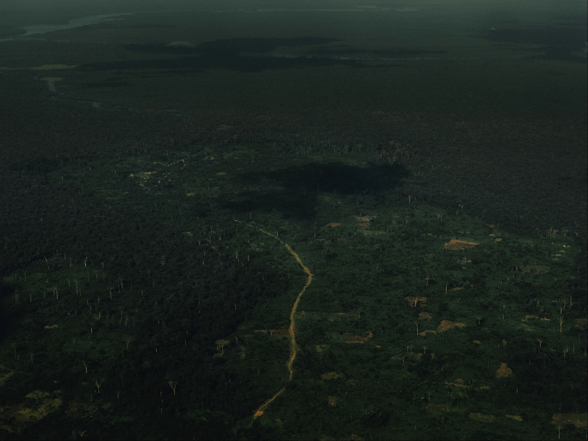 La provincia del Ecuador, en la República Democrática del Congo, una de las selvas tropicales más grandes y antiguas del mundo. Foto: Nanna Heitmann/ The New York Times