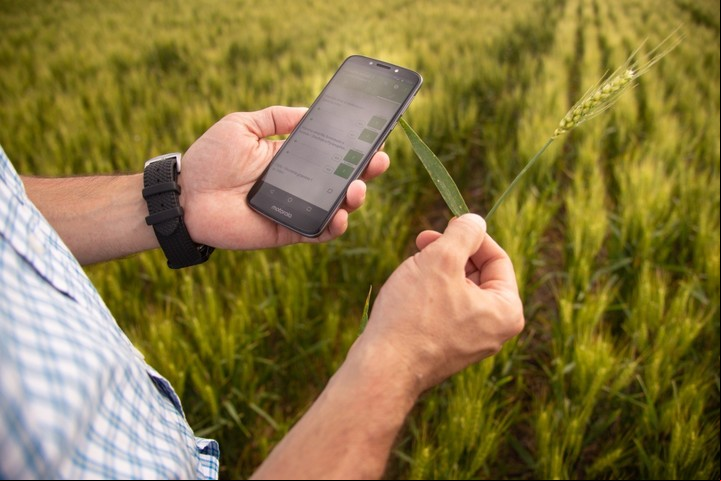 El coordinador AgTech debe ordenar todas las tareas que tienen que ver con la implementación de la nueva tecnología. Foto: Archivo.