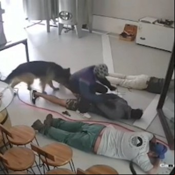 Desesperada reacción de un padre: dos ladrones quisieron secuestrar a su hijo de 9 años y los "tackleó" para evitarlo