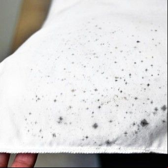 ¿Cómo quitar el moho de la ropa de manera sencilla?