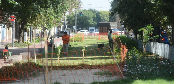 Cuadras verdes: harán 49, pero afirman que no alcanzan para cubrir lo que necesita la Ciudad