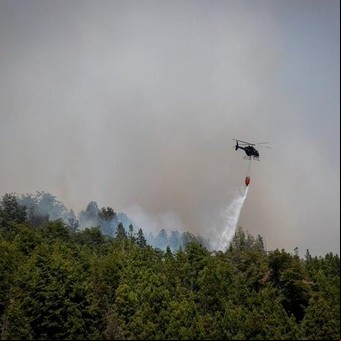 Feroz incendio en El Bolsón: evacuaron a vecinos y turistas, aseguran que fue intencional y hay un detenido