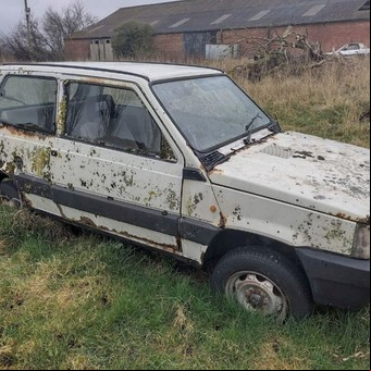 Encontraron en una granja abandonada un cementerio de autos de los años '70