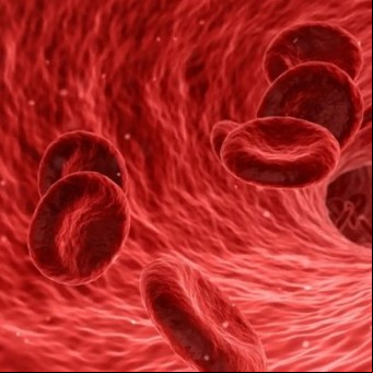 Hemofilia: una nueva terapia para controlarla requiere menos dosis y su efecto dura más