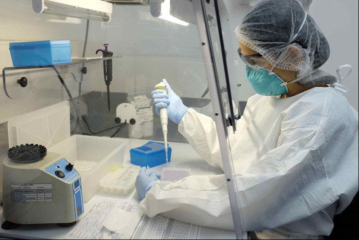 Una microbióloga revisa varias muestras de sangre en un laboratorio. Foto. EFE