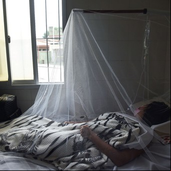 Tucumán, una de las provincias más afectadas por el dengue: "Tenemos miedo"