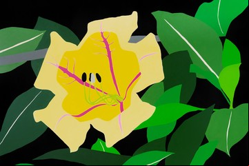 Un pintor de flores y sus batallas