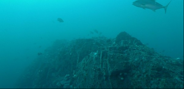Descubren casi 20 mil nuevos montes submarinos