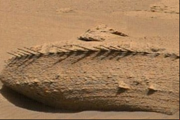 El Curiosity filmó "un espinazo de dragón" en el suelo de Marte