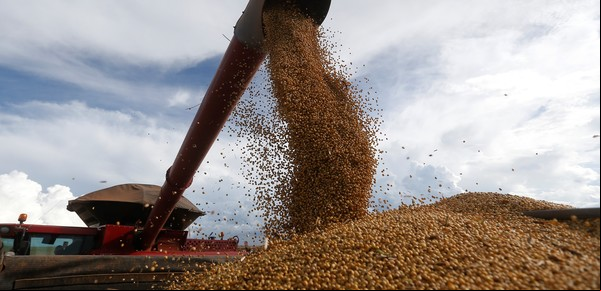 Tres razones por las que los productores aceleran las ventas de soja