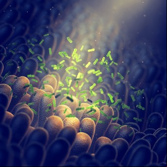 Microbiota intestinal: difunden 10 aspectos poco conocidos