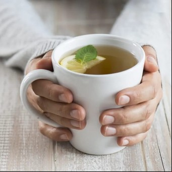 Té de boldo: para qué sirve y por qué es mejor tomarlo a la noche