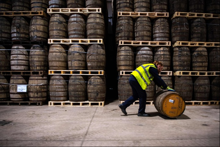 Las barricas de Macallan se fabrican con madera provenientes de bosques de la destilería (Foto Andy Buchanan / AFP)