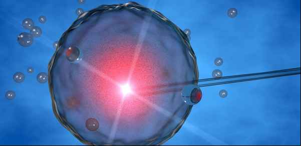 Ya 4 de cada 10 centros de fertilidad usan inteligencia artificial y logran una mejora clave en los tratamientos