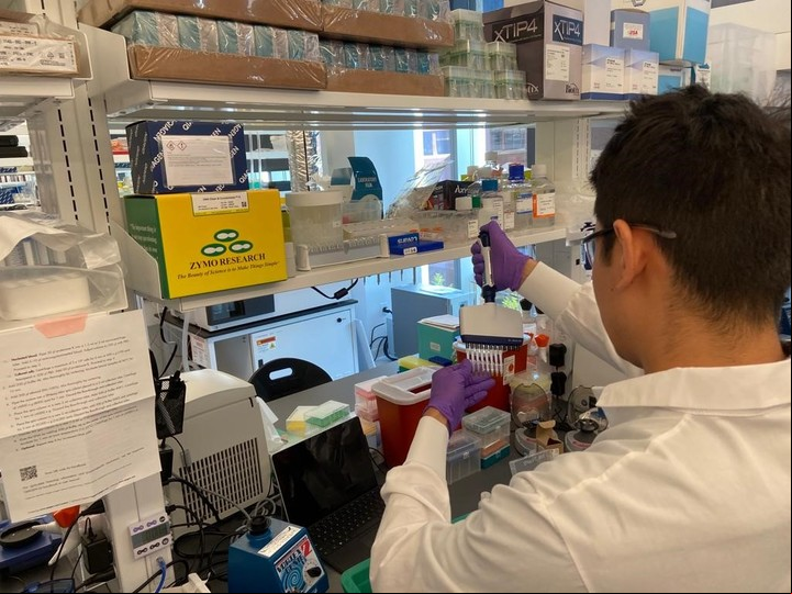 Bing en acción, haciendo una demostración de su trabajo en el laboratorio.