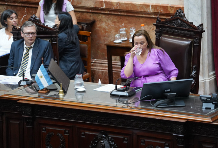Sesión especial en la cámara de Diputados para aprobar el proyecto moratoria previsional y que establece digitalización las historias clínicas. Cecilia Moreau en la imagen.
Foto: Lucía Merle