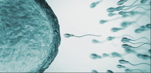 Nació en Argentina el primer bebé del mundo gracias a una nueva técnica de fertilidad que activa los espermatozoides