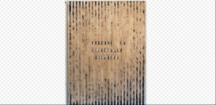 El artista uruguayo Pedro Tyler utiliza cintas métricas de madera para cuestionar la seguridad depositada en los sistemas de medida y la precisión. Su presentación en “EXTRA/ordinario” recupera una serie de retratos de escritores malditos. Bienalsur. Gentileza