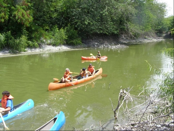 Paseo en kayak por el río Luján, en la Reserva Natural del Pilar.