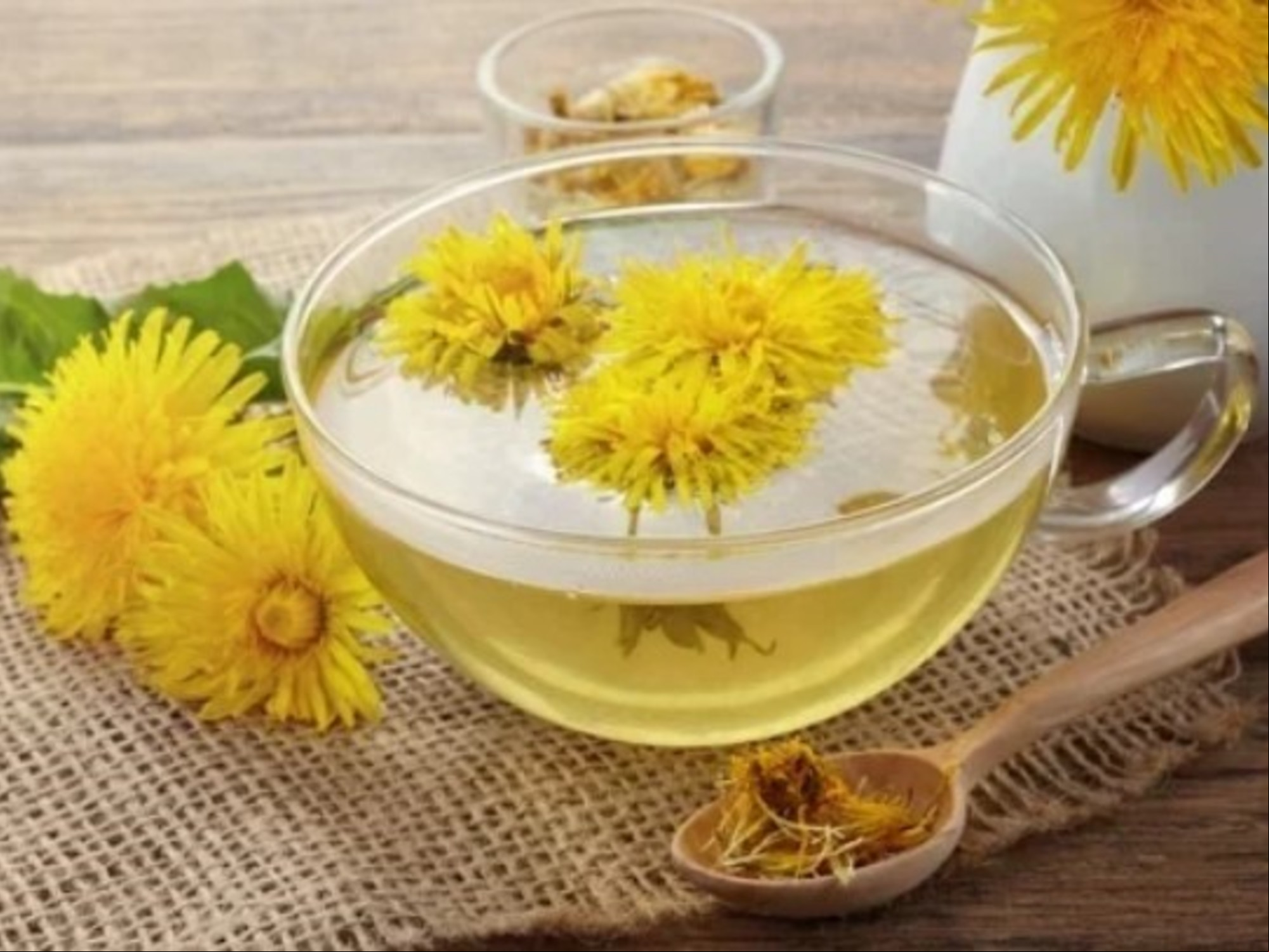 Cómo consumir la hierba diente de león para desintoxicar el cuerpo y perder peso