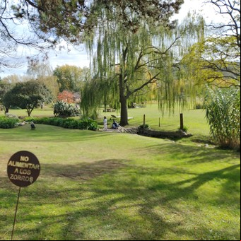 Tandil: una escapada de relax y sabores en un paisaje perfecto