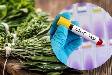 Las 5 hierbas que ayudan a reducir el colesterol malo: cómo se deben consumir
