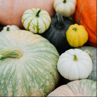 Secretos de la calabaza: cuántos días por semana conviene consumirla y qué beneficios tiene