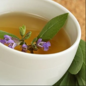 Infusión de salvia: nutricionistas revelan cómo consumirla para aprovechar sus propiedades medicinales