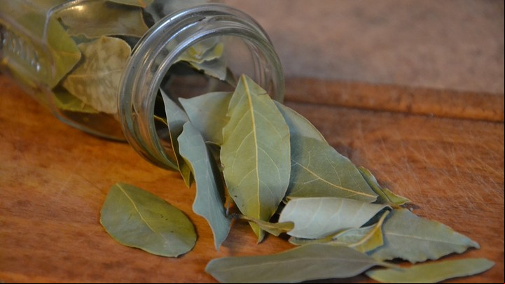 Propiedades y beneficios del laurel